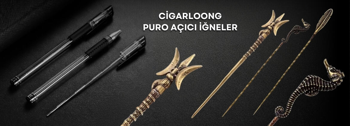 PuroIgnesi